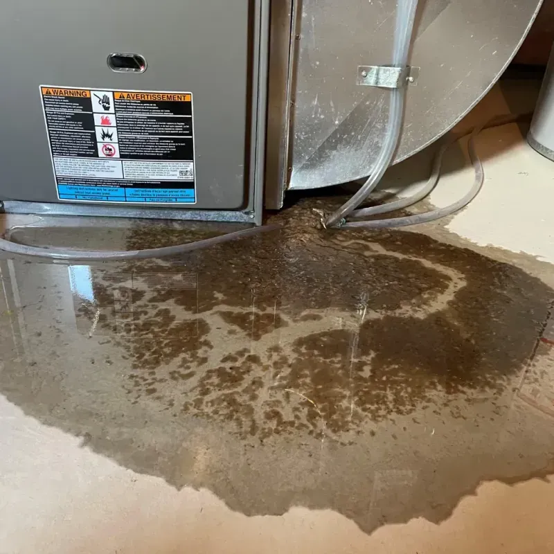 Appliance Leak Cleanup in Pryor Creek, OK